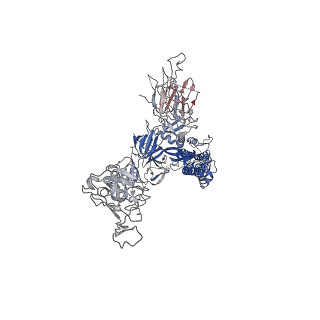 30503_7cyp_B_v1-1
Complex of SARS-CoV-2 spike trimer with its neutralizing antibody HB27