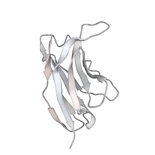 30503_7cyp_E_v1-1
Complex of SARS-CoV-2 spike trimer with its neutralizing antibody HB27