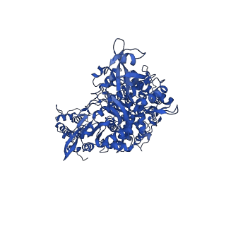 30504_7cyq_A_v1-3
Cryo-EM structure of an extended SARS-CoV-2 replication and transcription complex reveals an intermediate state in cap synthesis