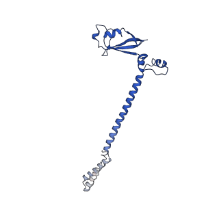 30504_7cyq_B_v1-3
Cryo-EM structure of an extended SARS-CoV-2 replication and transcription complex reveals an intermediate state in cap synthesis