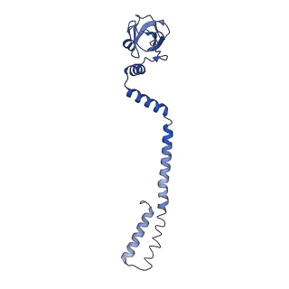 30504_7cyq_D_v1-3
Cryo-EM structure of an extended SARS-CoV-2 replication and transcription complex reveals an intermediate state in cap synthesis