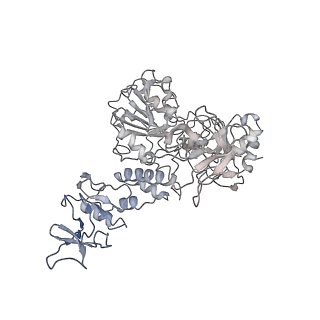 30504_7cyq_E_v1-3
Cryo-EM structure of an extended SARS-CoV-2 replication and transcription complex reveals an intermediate state in cap synthesis