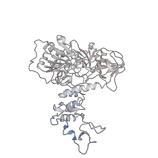 30504_7cyq_F_v1-3
Cryo-EM structure of an extended SARS-CoV-2 replication and transcription complex reveals an intermediate state in cap synthesis