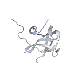 30504_7cyq_G_v1-3
Cryo-EM structure of an extended SARS-CoV-2 replication and transcription complex reveals an intermediate state in cap synthesis