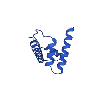 27096_8cze_D_v1-0
Structure of a Xenopus Nucleosome with Widom 601 DNA