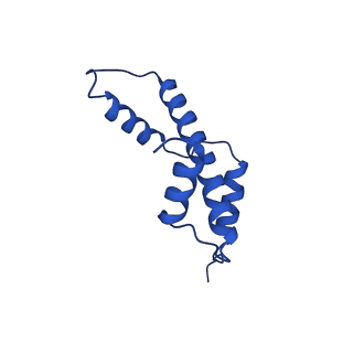 27096_8cze_E_v1-0
Structure of a Xenopus Nucleosome with Widom 601 DNA