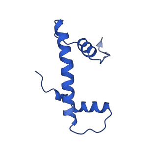 27096_8cze_F_v1-0
Structure of a Xenopus Nucleosome with Widom 601 DNA
