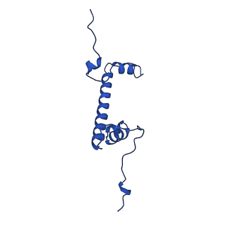 27096_8cze_G_v1-0
Structure of a Xenopus Nucleosome with Widom 601 DNA