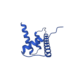 27096_8cze_H_v1-0
Structure of a Xenopus Nucleosome with Widom 601 DNA
