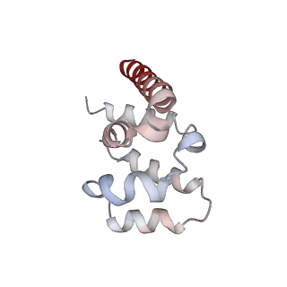 27100_8czo_U_v1-2
Cryo-EM structure of BCL10 CARD - MALT1 DD filament
