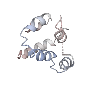 27100_8czo_c_v1-2
Cryo-EM structure of BCL10 CARD - MALT1 DD filament