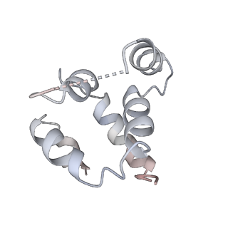 27100_8czo_d_v1-2
Cryo-EM structure of BCL10 CARD - MALT1 DD filament