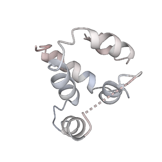 27100_8czo_f_v1-2
Cryo-EM structure of BCL10 CARD - MALT1 DD filament