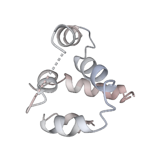 27100_8czo_h_v1-2
Cryo-EM structure of BCL10 CARD - MALT1 DD filament