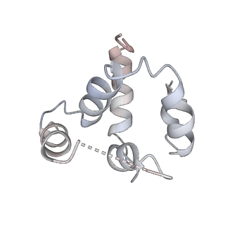 27100_8czo_i_v1-2
Cryo-EM structure of BCL10 CARD - MALT1 DD filament
