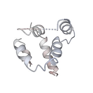 27100_8czo_k_v1-2
Cryo-EM structure of BCL10 CARD - MALT1 DD filament