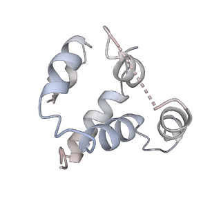 27100_8czo_n_v1-2
Cryo-EM structure of BCL10 CARD - MALT1 DD filament