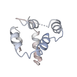 27100_8czo_r_v1-2
Cryo-EM structure of BCL10 CARD - MALT1 DD filament