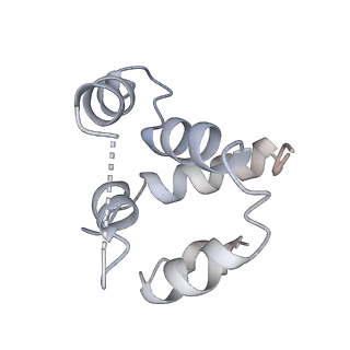 27100_8czo_s_v1-2
Cryo-EM structure of BCL10 CARD - MALT1 DD filament