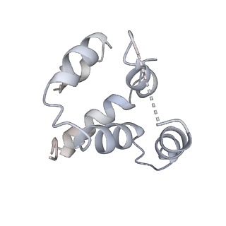 27100_8czo_u_v1-2
Cryo-EM structure of BCL10 CARD - MALT1 DD filament