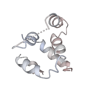 27100_8czo_v_v1-2
Cryo-EM structure of BCL10 CARD - MALT1 DD filament