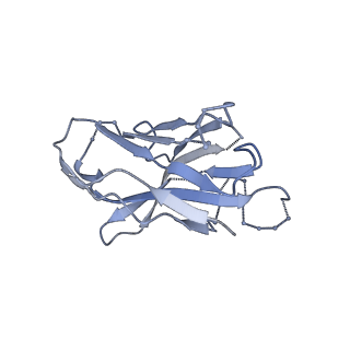 27103_8czz_G_v1-2
Cryo-EM structure of T/F100 SOSIP.664 HIV-1 Env trimer with LMHS mutations in complex with Temsavir, 8ANC195, and 10-1074