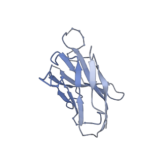 27103_8czz_K_v1-2
Cryo-EM structure of T/F100 SOSIP.664 HIV-1 Env trimer with LMHS mutations in complex with Temsavir, 8ANC195, and 10-1074