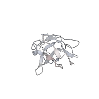 27103_8czz_M_v1-2
Cryo-EM structure of T/F100 SOSIP.664 HIV-1 Env trimer with LMHS mutations in complex with Temsavir, 8ANC195, and 10-1074