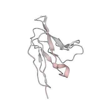 27103_8czz_N_v1-2
Cryo-EM structure of T/F100 SOSIP.664 HIV-1 Env trimer with LMHS mutations in complex with Temsavir, 8ANC195, and 10-1074