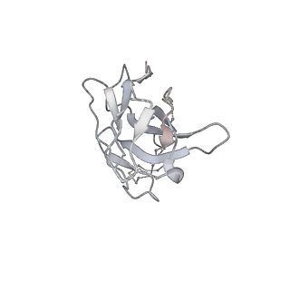 27103_8czz_O_v1-2
Cryo-EM structure of T/F100 SOSIP.664 HIV-1 Env trimer with LMHS mutations in complex with Temsavir, 8ANC195, and 10-1074