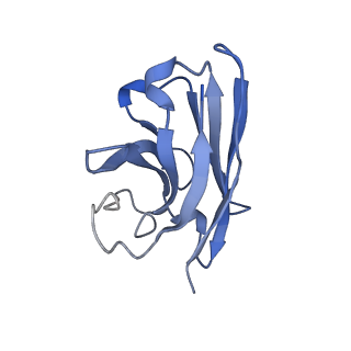 30505_7cz5_N_v1-0
Cryo-EM structure of the human growth hormone-releasing hormone receptor-Gs protein complex