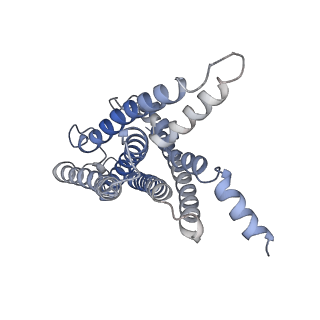 30505_7cz5_R_v1-0
Cryo-EM structure of the human growth hormone-releasing hormone receptor-Gs protein complex