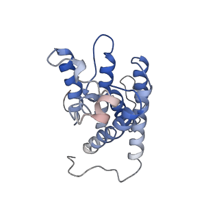 30508_7czb_A_v1-0
The cryo-EM structure of the ERAD retrotranslocation channel formed by human Derlin-1
