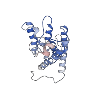 30508_7czb_A_v1-1
The cryo-EM structure of the ERAD retrotranslocation channel formed by human Derlin-1