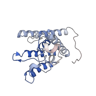 30508_7czb_B_v1-0
The cryo-EM structure of the ERAD retrotranslocation channel formed by human Derlin-1