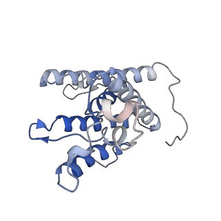 30508_7czb_B_v1-1
The cryo-EM structure of the ERAD retrotranslocation channel formed by human Derlin-1