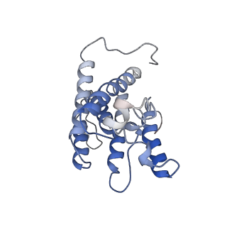 30508_7czb_C_v1-0
The cryo-EM structure of the ERAD retrotranslocation channel formed by human Derlin-1