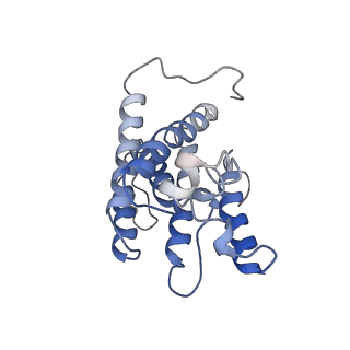 30508_7czb_C_v1-1
The cryo-EM structure of the ERAD retrotranslocation channel formed by human Derlin-1