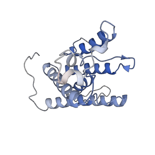 30508_7czb_D_v1-0
The cryo-EM structure of the ERAD retrotranslocation channel formed by human Derlin-1
