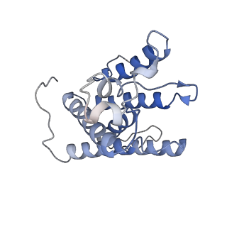 30508_7czb_D_v1-1
The cryo-EM structure of the ERAD retrotranslocation channel formed by human Derlin-1