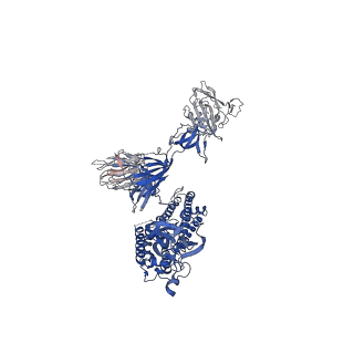 30512_7czp_A_v1-2
S protein of SARS-CoV-2 in complex bound with P2B-1A1