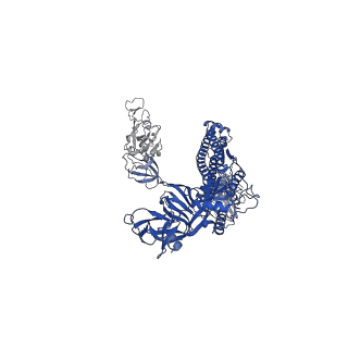 30512_7czp_C_v1-2
S protein of SARS-CoV-2 in complex bound with P2B-1A1