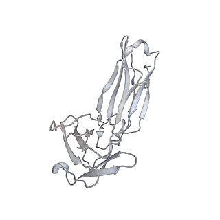 30512_7czp_J_v1-2
S protein of SARS-CoV-2 in complex bound with P2B-1A1