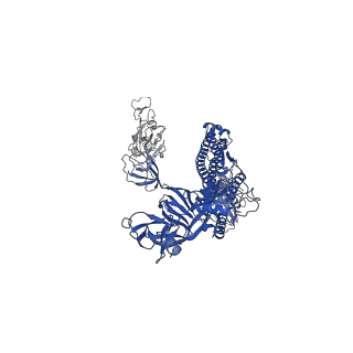 30513_7czq_C_v1-2
S protein of SARS-CoV-2 in complex bound with P2B-1A10