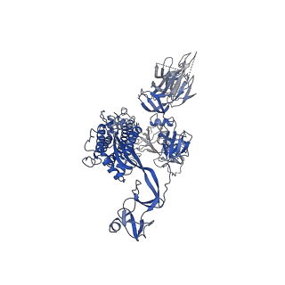 30514_7czr_B_v1-2
S protein of SARS-CoV-2 in complex bound with P5A-1B8_2B
