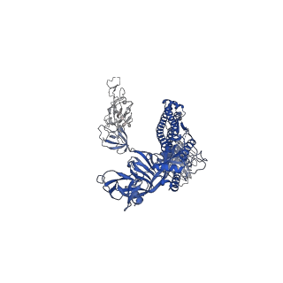 30514_7czr_C_v1-2
S protein of SARS-CoV-2 in complex bound with P5A-1B8_2B