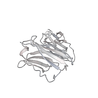 30514_7czr_J_v1-2
S protein of SARS-CoV-2 in complex bound with P5A-1B8_2B