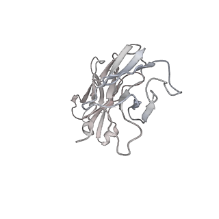 30514_7czr_K_v1-2
S protein of SARS-CoV-2 in complex bound with P5A-1B8_2B