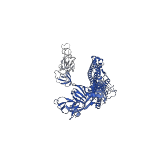 30516_7czt_C_v1-2
S protein of SARS-CoV-2 in complex bound with P5A-2G9