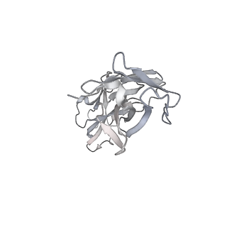 30516_7czt_H_v1-2
S protein of SARS-CoV-2 in complex bound with P5A-2G9